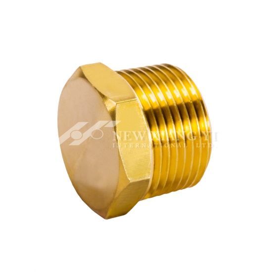 brass plug fitting