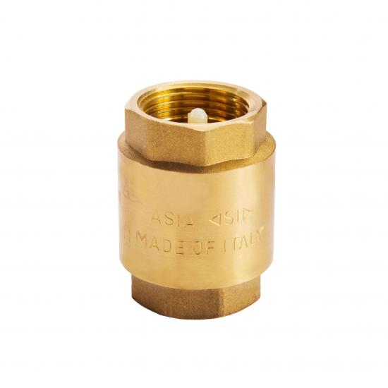 vertical check valve